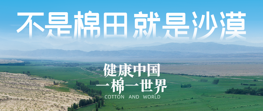 链接天下，，，，引领康健生涯，，，，豪门国际集团受邀亮相首届链博会