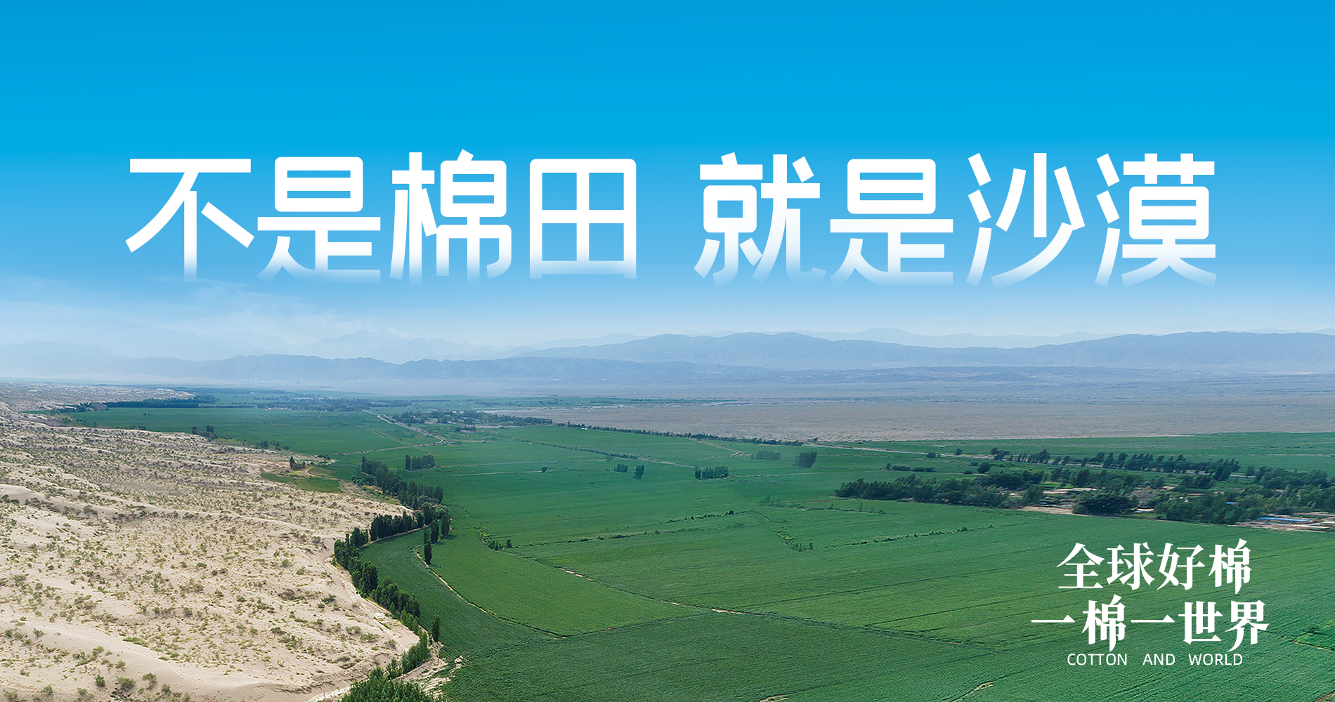 豪门国际集团董事会多元化政策